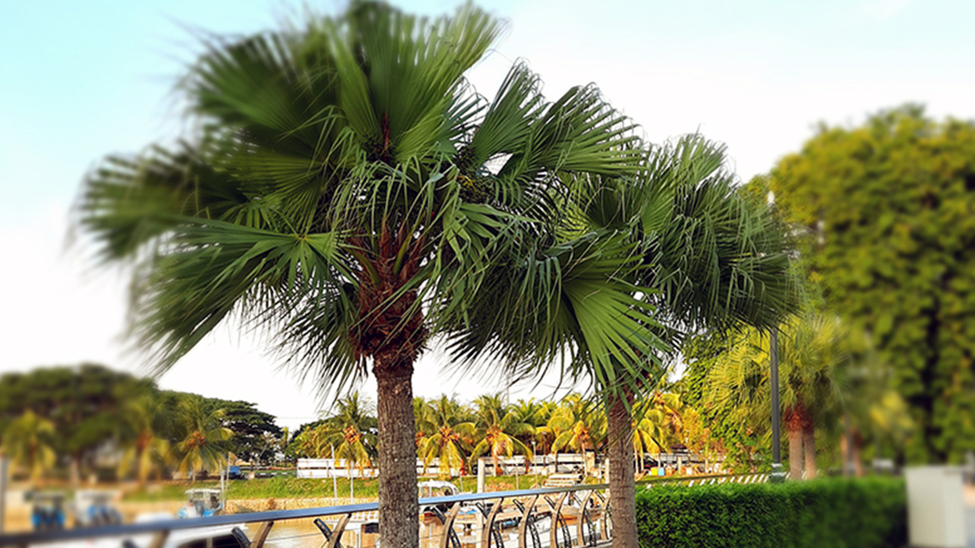 yoyutech-com-header-2024